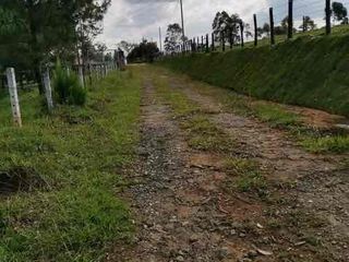 Foto 2 de TU ESPACIO ENTRE NATURALEZA Y CIUDAD