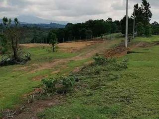 Foto 3 de TU ESPACIO ENTRE NATURALEZA Y CIUDAD