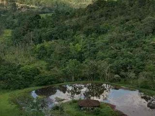 Foto 4 de TU ESPACIO ENTRE NATURALEZA Y CIUDAD