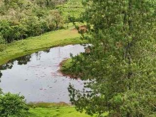 Foto 9 de TU ESPACIO ENTRE NATURALEZA Y CIUDAD