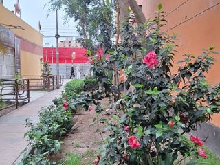 Foto 16 de 🏡¡Oportunidad Unica En El Corazón De Bellavista!