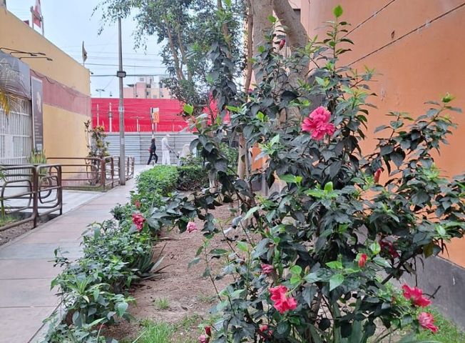place photo 16