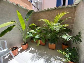 Foto 6 de Casa en venta ibague piedrapintada conjunto cerrado