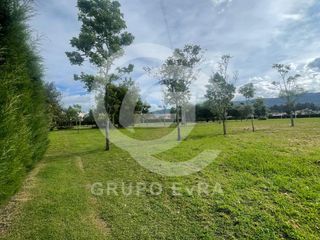 Foto 13 de Casa Independiente en Arriendo - Urbanización San Jose del Valle