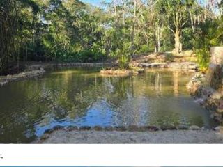 Foto 6 de Vendo Resort ecológico y muy rentable en la Amazonía Peruana - 14.6 Has - Dpto de San Martín.