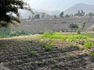 Foto 5 de Vendo terreno de 4,887m2 en Chosica - California Baja