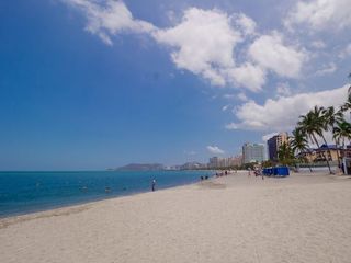 Foto 46 de ALQUILER DE CABAÑA LA CARMELITA TEL3024414734 EN SANTA MARTA