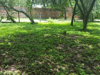 Foto 5 de LOTE RESIDENCIAL EN RICAURTE CUNDINAMARCA