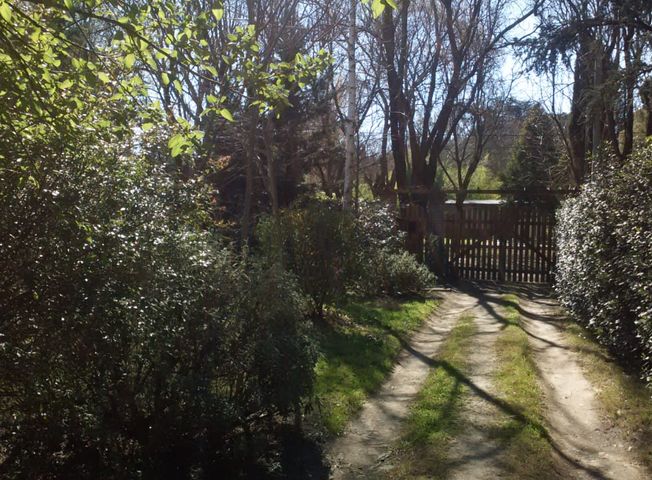 place photo 21