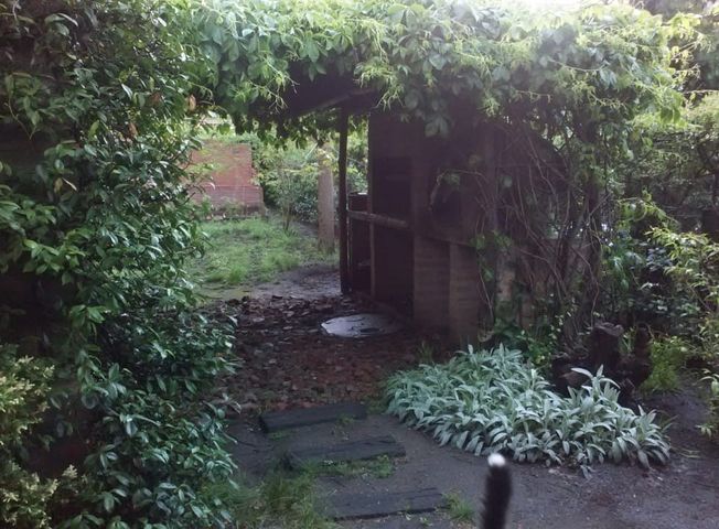 place photo 16