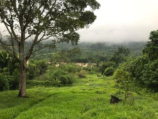 Foto 1 de ¡Descubra el Paraíso Escondido en Chazuta, Tarapoto: Un Terreno de 68 Hectáreas con Potencial Ilimitado!