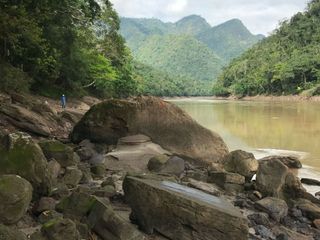 Foto 3 de ¡Descubra el Paraíso Escondido en Chazuta, Tarapoto: Un Terreno de 68 Hectáreas con Potencial Ilimitado!