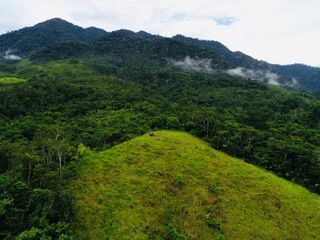 Foto 6 de ¡Descubra el Paraíso Escondido en Chazuta, Tarapoto: Un Terreno de 68 Hectáreas con Potencial Ilimitado!