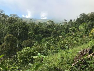 Foto 8 de ¡Descubra el Paraíso Escondido en Chazuta, Tarapoto: Un Terreno de 68 Hectáreas con Potencial Ilimitado!
