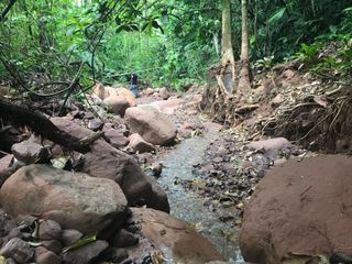 Foto 9 de ¡Descubra el Paraíso Escondido en Chazuta, Tarapoto: Un Terreno de 68 Hectáreas con Potencial Ilimitado!