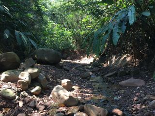 Foto 10 de ¡Descubra el Paraíso Escondido en Chazuta, Tarapoto: Un Terreno de 68 Hectáreas con Potencial Ilimitado!