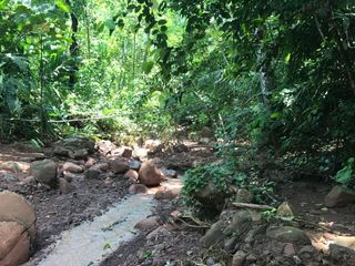 Foto 11 de ¡Descubra el Paraíso Escondido en Chazuta, Tarapoto: Un Terreno de 68 Hectáreas con Potencial Ilimitado!