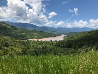 Foto 13 de ¡Descubra el Paraíso Escondido en Chazuta, Tarapoto: Un Terreno de 68 Hectáreas con Potencial Ilimitado!