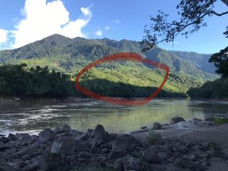 Foto 14 de ¡Descubra el Paraíso Escondido en Chazuta, Tarapoto: Un Terreno de 68 Hectáreas con Potencial Ilimitado!