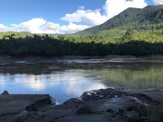 Foto 15 de ¡Descubra el Paraíso Escondido en Chazuta, Tarapoto: Un Terreno de 68 Hectáreas con Potencial Ilimitado!