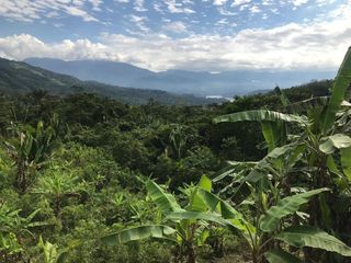 Foto 17 de ¡Descubra el Paraíso Escondido en Chazuta, Tarapoto: Un Terreno de 68 Hectáreas con Potencial Ilimitado!