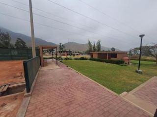 Foto 2 de Venta de terreno para casa de campo - Pachacamac