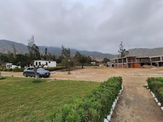 Foto 3 de Venta de terreno para casa de campo - Pachacamac