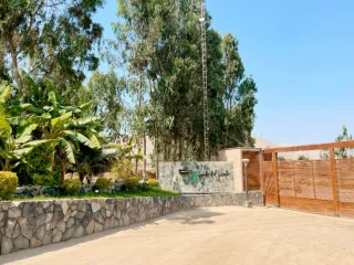 Foto 1 de Venta de terreno para casa de campo - Pachacamac