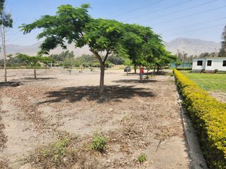 Foto 8 de Venta de terreno para casa de campo - Pachacamac