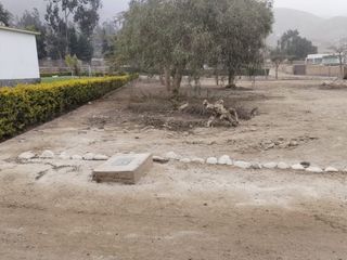 Foto 9 de Venta de terreno para casa de campo - Pachacamac