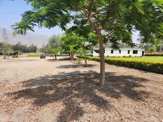 Foto 10 de Venta de terreno para casa de campo - Pachacamac