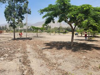 Foto 11 de Venta de terreno para casa de campo - Pachacamac