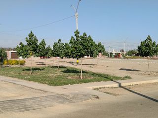 Foto 28 de Alquiler de Casa Tipo Módulo en Urb. Jacaranda (El Pino), Parcona