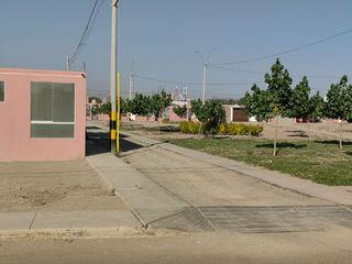 Foto 29 de Alquiler de Casa Tipo Módulo en Urb. Jacaranda (El Pino), Parcona