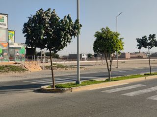 Foto 32 de Alquiler de Casa Tipo Módulo en Urb. Jacaranda (El Pino), Parcona