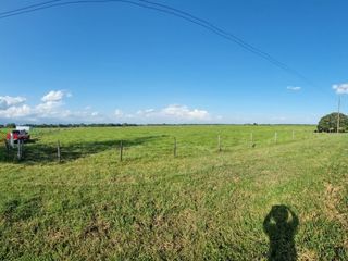 Foto 1 de VENTA LOTE DE 1O HECTAREAS