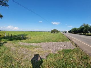 Foto 2 de VENTA LOTE DE 1O HECTAREAS