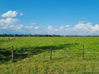 Foto 3 de VENTA LOTE DE 1O HECTAREAS
