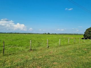 Foto 4 de VENTA LOTE DE 1O HECTAREAS