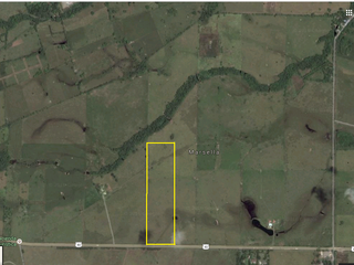 Foto 7 de VENTA LOTE DE 1O HECTAREAS