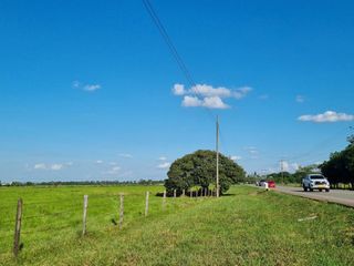 Foto 5 de VENTA LOTE DE 1O HECTAREAS