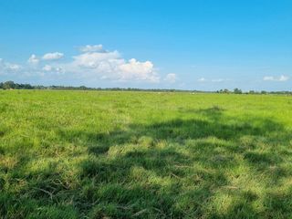 Foto 6 de VENTA LOTE DE 1O HECTAREAS
