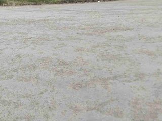 Foto 2 de Terreno en Venta Pumayunga