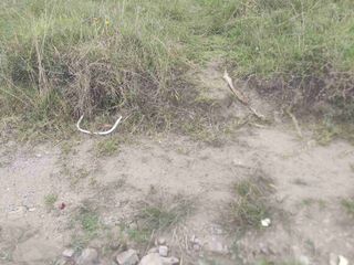 Foto 2 de Terreno de venta en Pumayunga