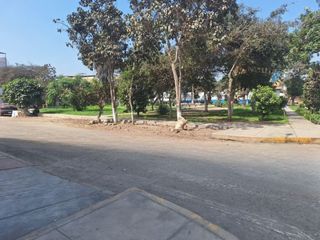 Foto 34 de Venta de 2 Casas + 2 Locales en Urb. El Pinar, Etapa 1 - Comas