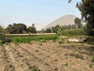 Foto 3 de Vendo Terreno en California Baja Chosica de 4,887m2