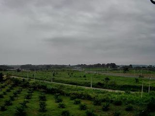 Foto 3 de Terreno en venta, Buena Fe - Quevedo