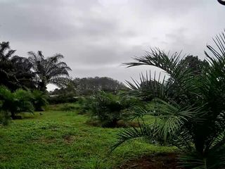 Foto 1 de Terreno en venta, Buena Fe - Quevedo