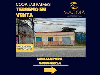 Foto 1 de 𝐂𝐨𝐨𝐩. 𝐋𝐚𝐬 𝐏𝐚𝐥𝐦𝐚𝐬