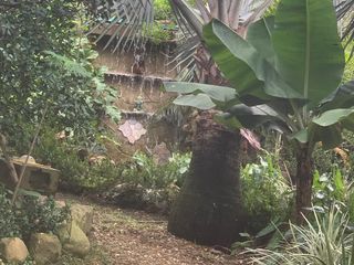 Foto 16 de CASA CAMPESTRE EN VENTA EN MELGAR (TOLIMA)